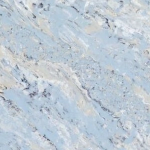 Kashmir White Quartz HS347